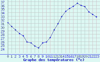 Courbe de tempratures pour Jan (Esp)