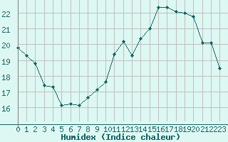 Courbe de l'humidex pour Albi (81)