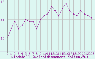 Courbe du refroidissement olien pour Renwez (08)