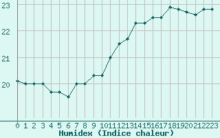 Courbe de l'humidex pour Pointe de Chassiron (17)