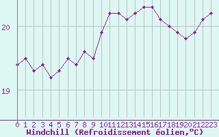 Courbe du refroidissement olien pour Sallles d