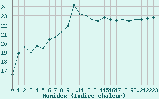 Courbe de l'humidex pour Cavalaire-sur-Mer (83)