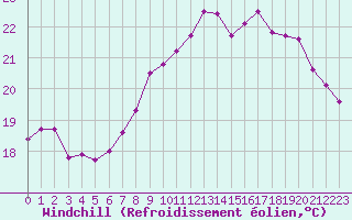 Courbe du refroidissement olien pour Cazaux (33)
