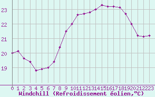 Courbe du refroidissement olien pour Cap Pertusato (2A)
