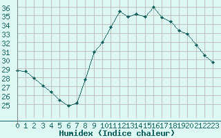 Courbe de l'humidex pour Perpignan (66)