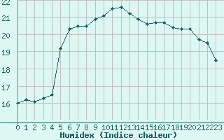 Courbe de l'humidex pour Cannes (06)