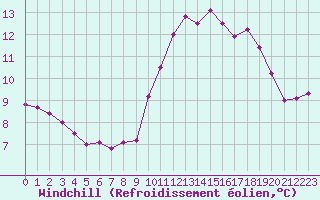 Courbe du refroidissement olien pour Tauxigny (37)