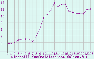 Courbe du refroidissement olien pour Muirancourt (60)
