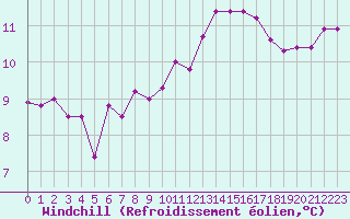 Courbe du refroidissement olien pour Brignogan (29)