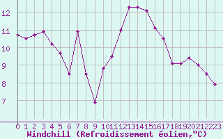 Courbe du refroidissement olien pour Ile Rousse (2B)