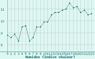 Courbe de l'humidex pour Cap de la Hague (50)