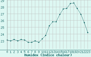 Courbe de l'humidex pour Pointe de Chemoulin (44)