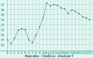 Courbe de l'humidex pour Perpignan (66)