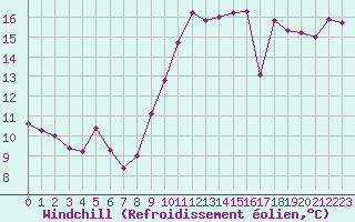 Courbe du refroidissement olien pour Le Touquet (62)