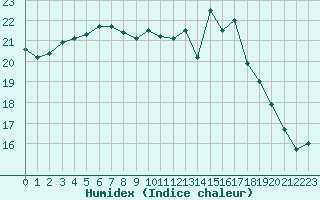 Courbe de l'humidex pour Sausseuzemare-en-Caux (76)