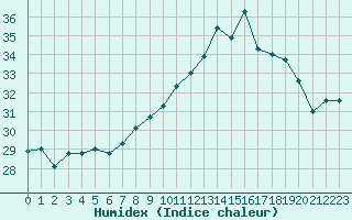 Courbe de l'humidex pour Cap Pertusato (2A)