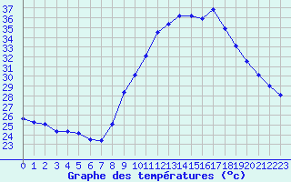 Courbe de tempratures pour Fiscaglia Migliarino (It)