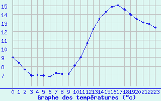 Courbe de tempratures pour Rochefort Saint-Agnant (17)