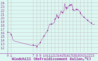 Courbe du refroidissement olien pour Cognac (16)