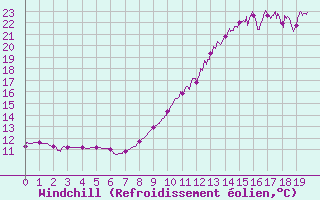 Courbe du refroidissement olien pour Ambert (63)