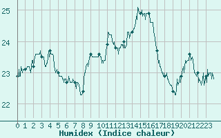 Courbe de l'humidex pour Lyon - Bron (69)