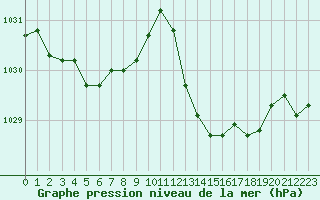 Courbe de la pression atmosphrique pour Jan (Esp)