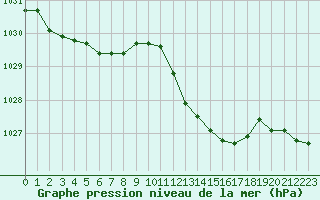 Courbe de la pression atmosphrique pour Amur (79)