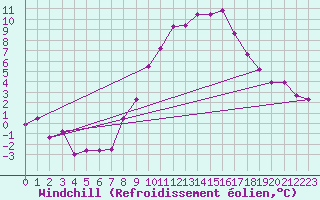 Courbe du refroidissement olien pour Bergen