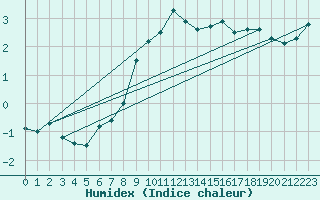 Courbe de l'humidex pour Hammer Odde