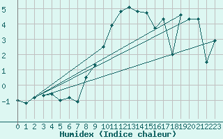 Courbe de l'humidex pour Raciborz
