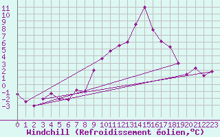 Courbe du refroidissement olien pour Cornus (12)