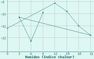 Courbe de l'humidex pour Cape Svedskij