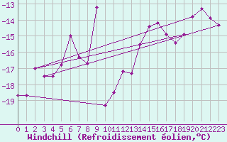 Courbe du refroidissement olien pour Sniezka