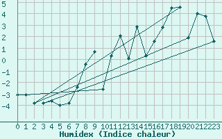 Courbe de l'humidex pour Hoernli