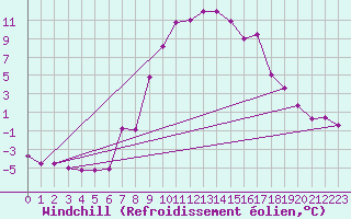Courbe du refroidissement olien pour Neumarkt