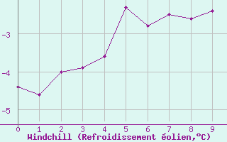 Courbe du refroidissement olien pour Crackenback