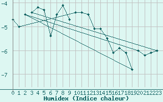 Courbe de l'humidex pour Hjartasen