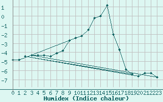 Courbe de l'humidex pour Nesbyen-Todokk