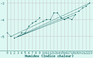 Courbe de l'humidex pour Bjornholt