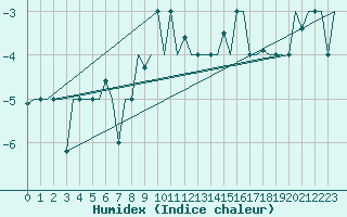 Courbe de l'humidex pour St. Peterburg