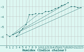 Courbe de l'humidex pour Strommingsbadan