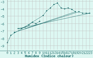 Courbe de l'humidex pour Kankaanpaa Niinisalo
