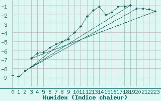 Courbe de l'humidex pour Skagsudde