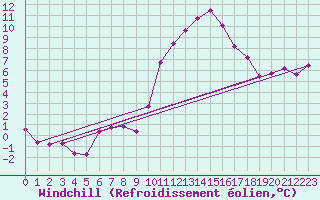 Courbe du refroidissement olien pour Bras (83)