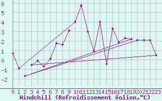 Courbe du refroidissement olien pour Weihenstephan