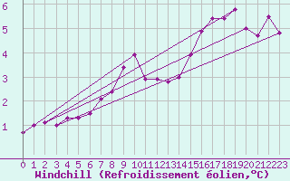 Courbe du refroidissement olien pour Lough Fea