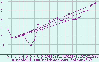 Courbe du refroidissement olien pour Angermuende