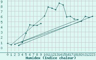 Courbe de l'humidex pour Ineu Mountain