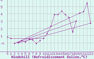 Courbe du refroidissement olien pour Muret (31)