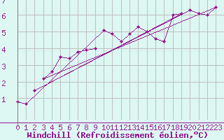 Courbe du refroidissement olien pour Wielun